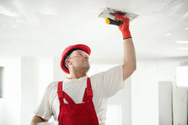  Brookfield, IL Painting & Drywall Pros