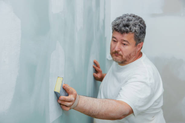 Best Drywall Sanding and Smoothing  in Brookfield, IL